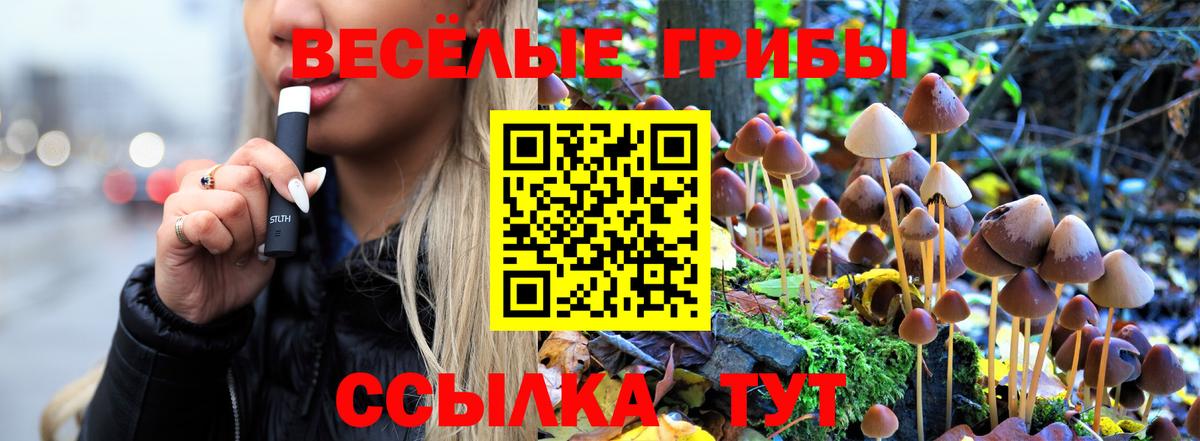 Жуковский  Псилоцибиновые грибы мицелий  Вход с VPN 